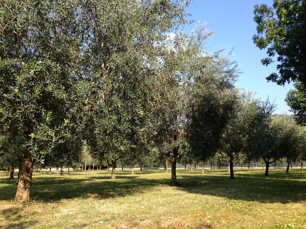Agriturismo Corte Moranda Vérone Extérieur photo